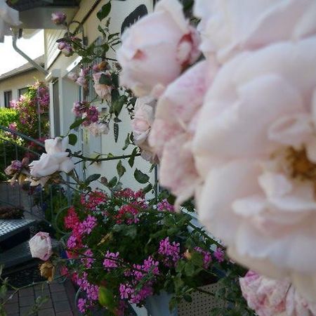 Gastehaus Rosengarten Im Nahetal Kirn Экстерьер фото